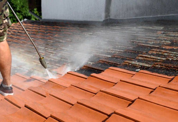 Best Roof Pressure Washing  in Sarasota, FL